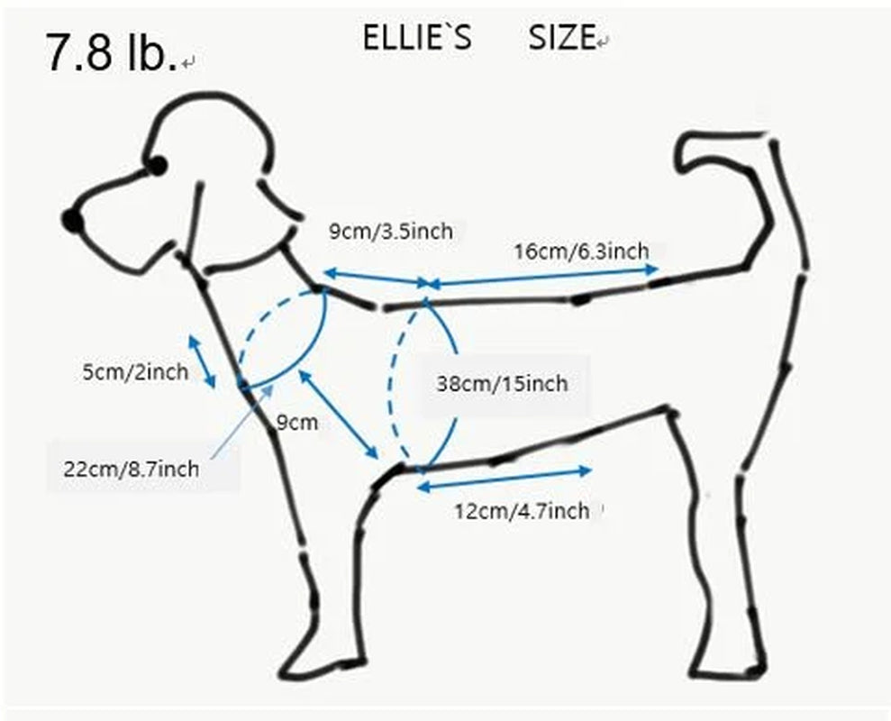 Pumpkin Hat / Knitting Pattern