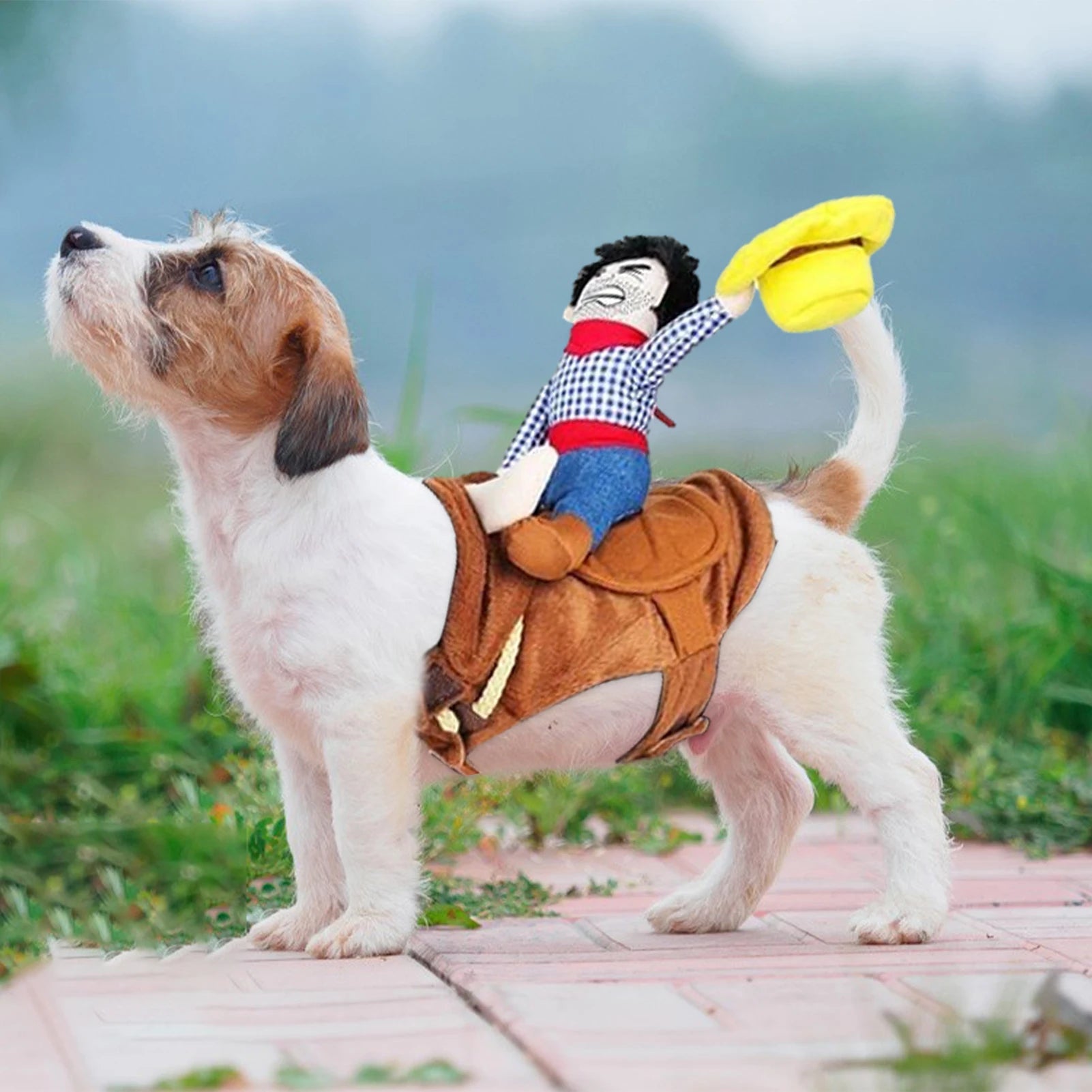 Dog Cowboy Outfit Ventilate Dog Cowboy Costume with Loop Fasteners Dog Halloween Costumes for Pugs Maltese Jack Russell Terrier