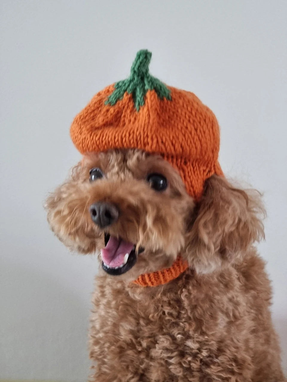 Pumpkin Hat / Knitting Pattern