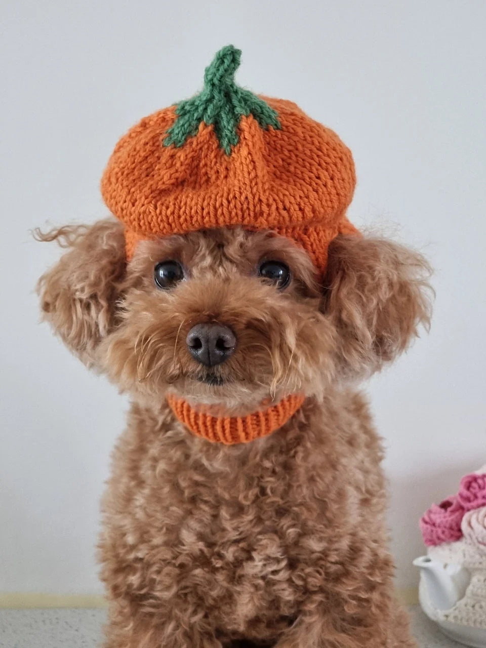 Pumpkin Hat / Knitting Pattern