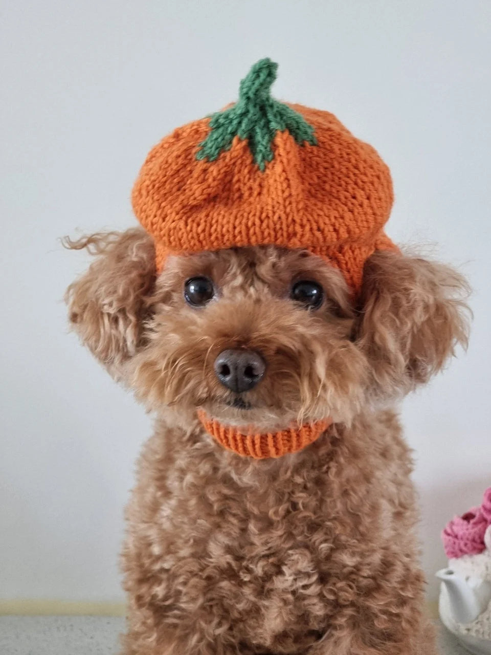 Pumpkin Hat / Knitting Pattern