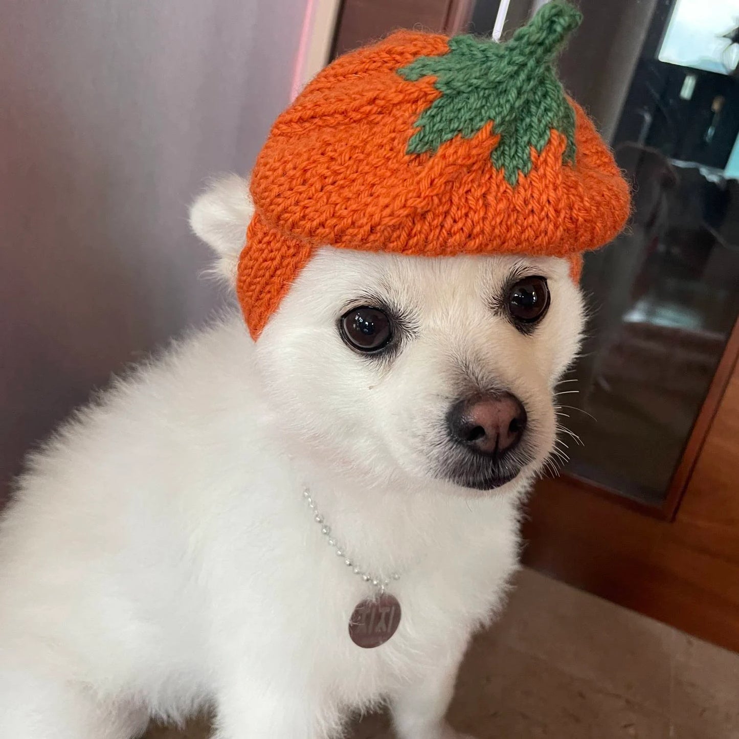 Pumpkin Hat / Knitting Pattern