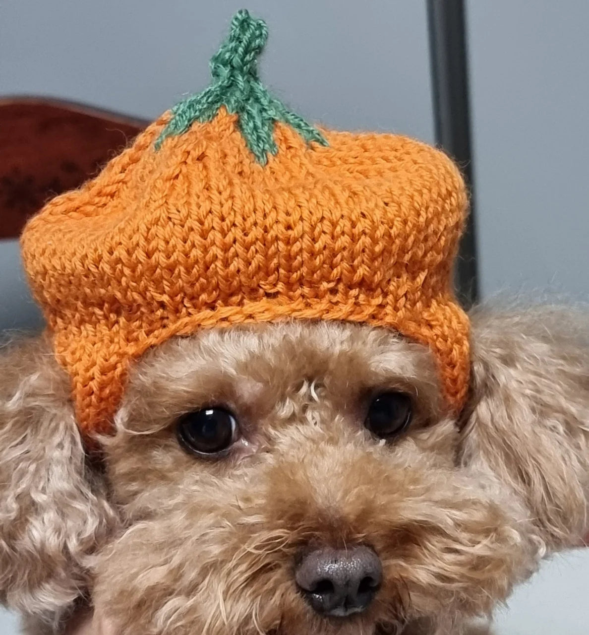 Pumpkin Hat / Knitting Pattern