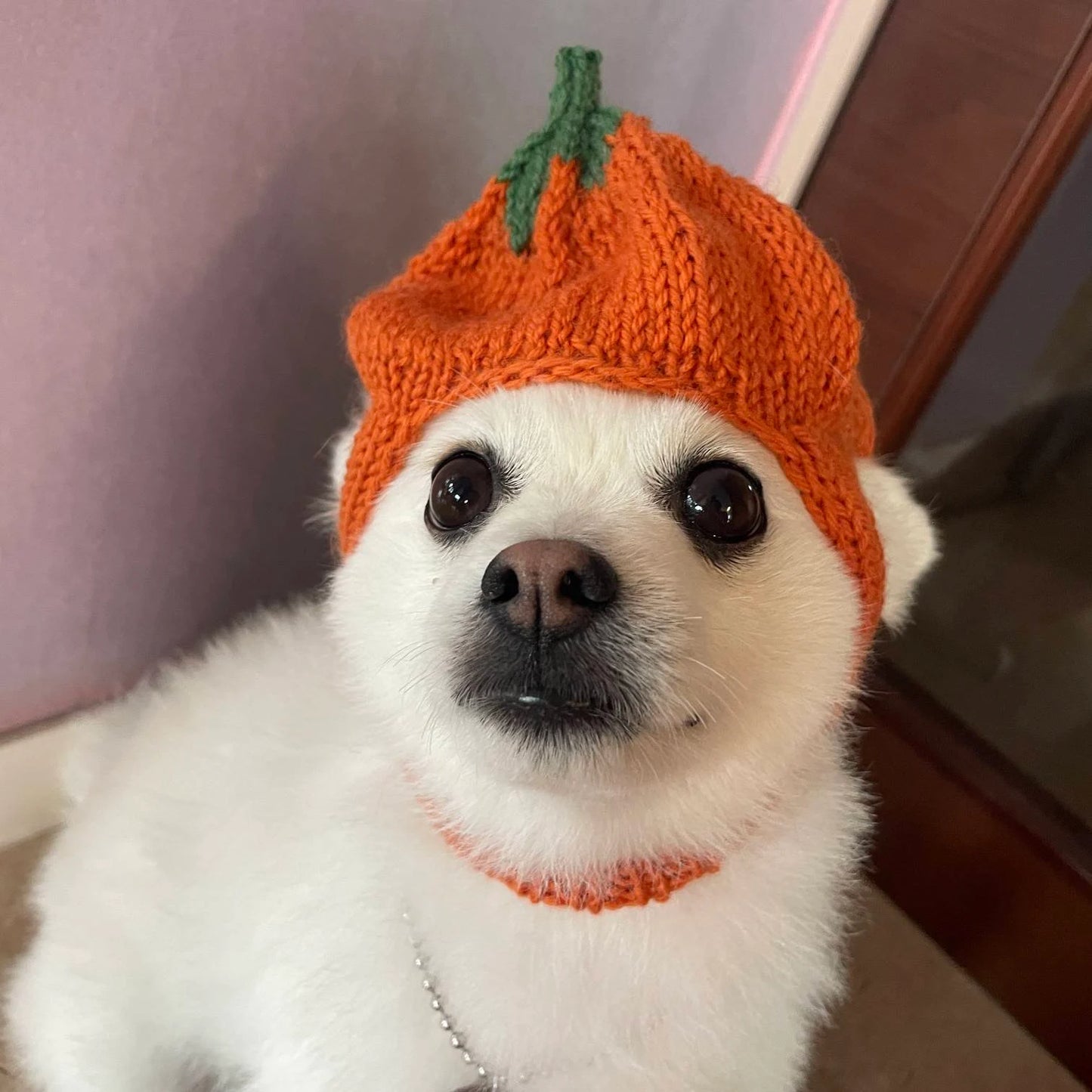 Pumpkin Hat / Knitting Pattern