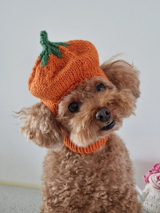 Pumpkin Hat / Knitting Pattern